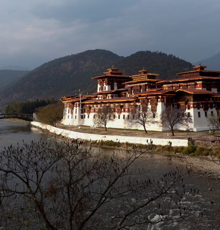 Bhutanese Bliss: A Western Cultural Immersion Image