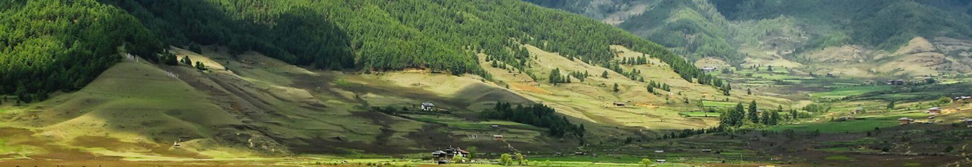   Phobjikha Valley (Gangtey Valley)