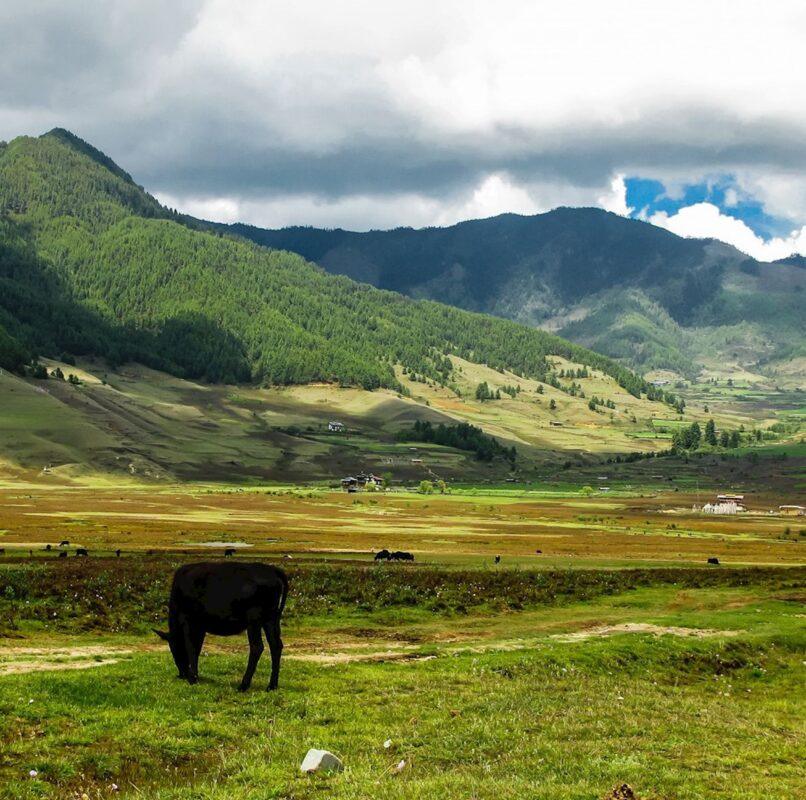 Phobjikha Valley (Gangtey Valley)
