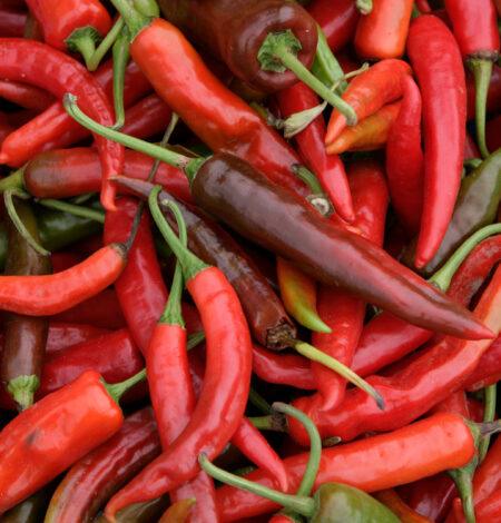 Bhutan’s Culinary Canvas: From Chili to Cheese & Beyond Image