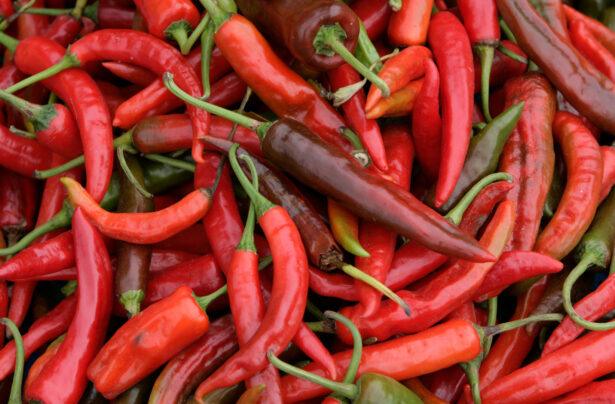 Bhutan’s Culinary Canvas: From Chili to Cheese & Beyond Image