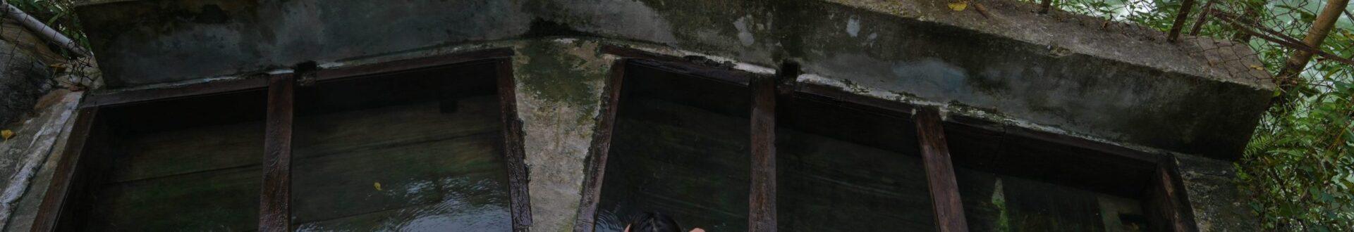   Gasa Tshachu (Gasa Hot Springs)