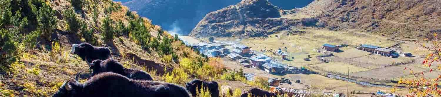   Lunana Village & Lunaps (Highland Community)