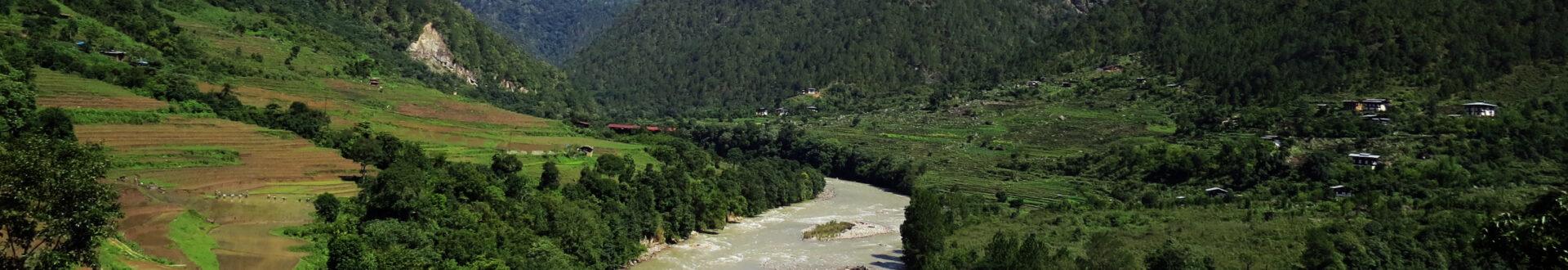   Jigme Dorji National Park (JDNP)