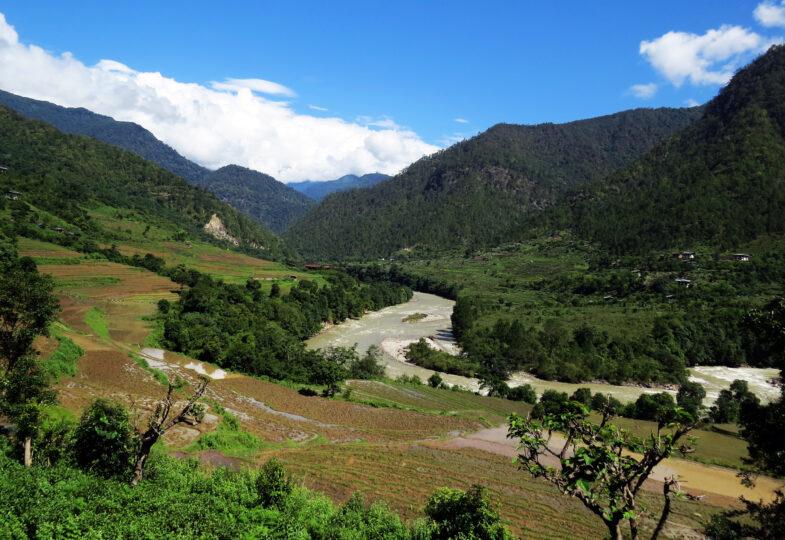 Jigme Dorji National Park (JDNP) Image