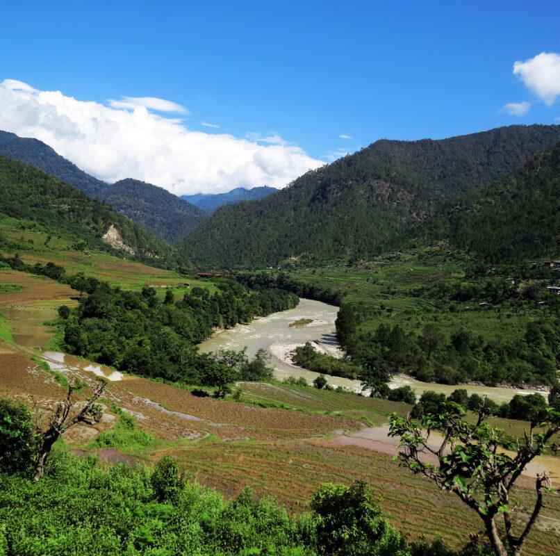 Jigme Dorji National Park (JDNP)