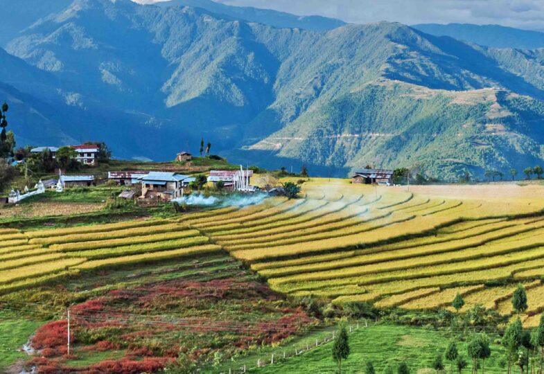 Radhi Village Image