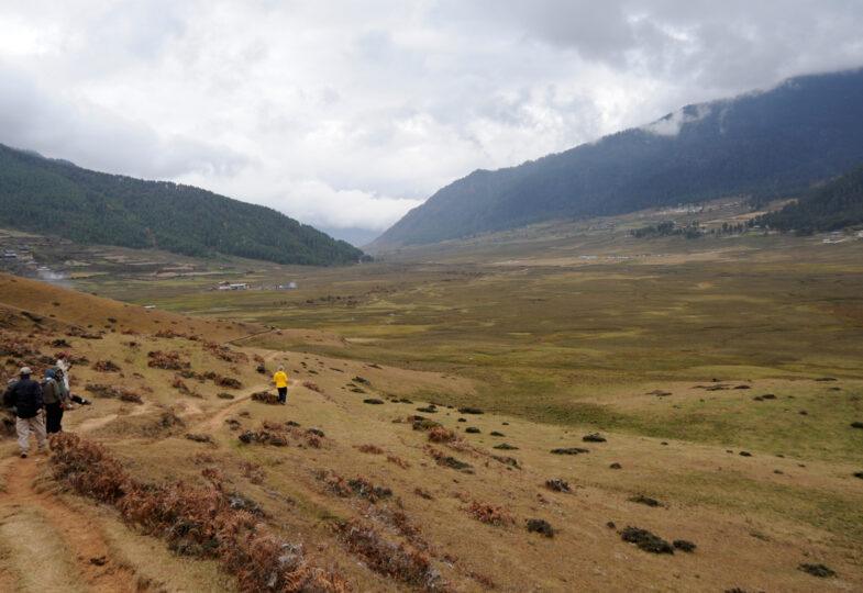 Gangtey Nature Trail Image