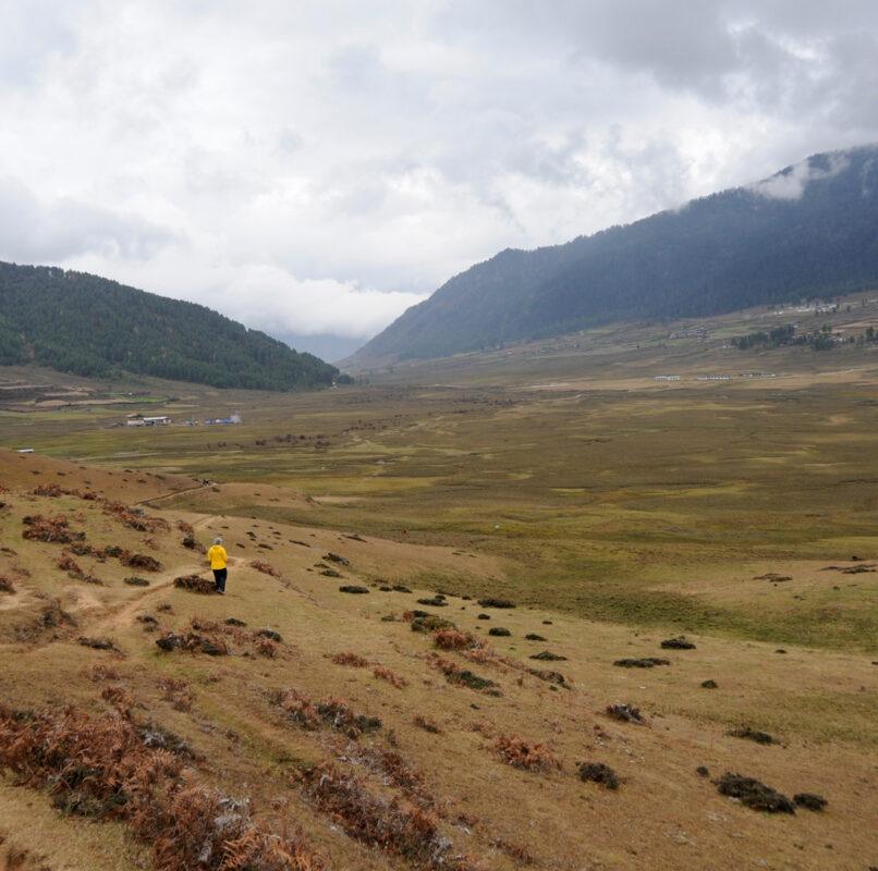 Gangtey Nature Trail